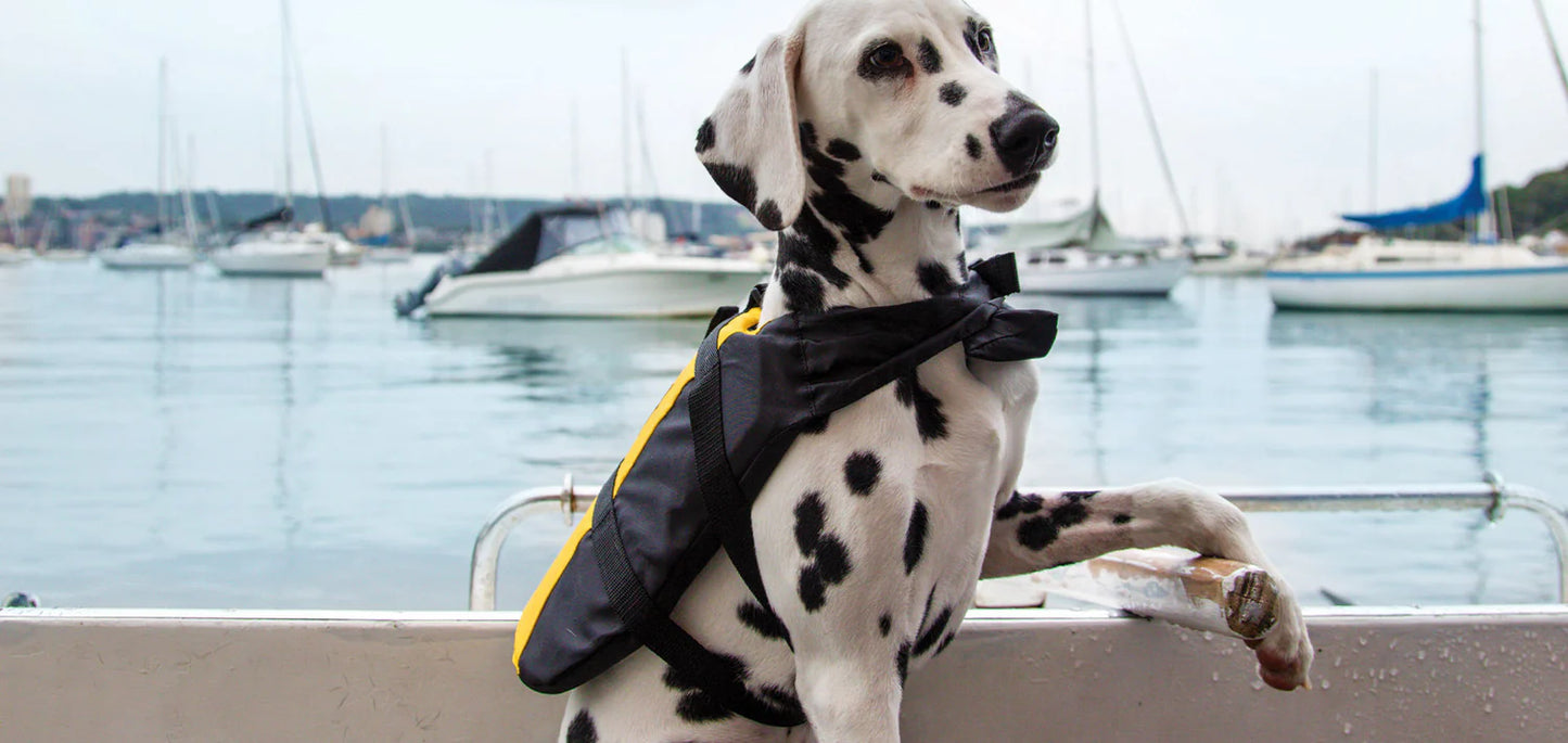 BURKE PET LIFEJACKET