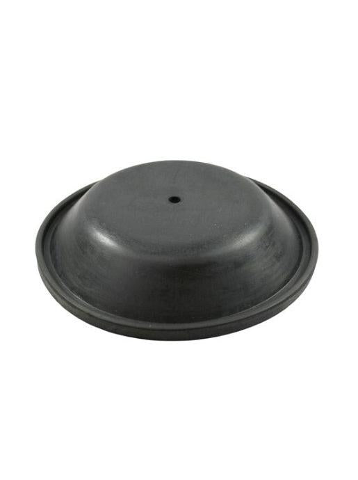 SP81 - REPLACEMENT DIAPHRAGM FOR RWB2202 PUMP