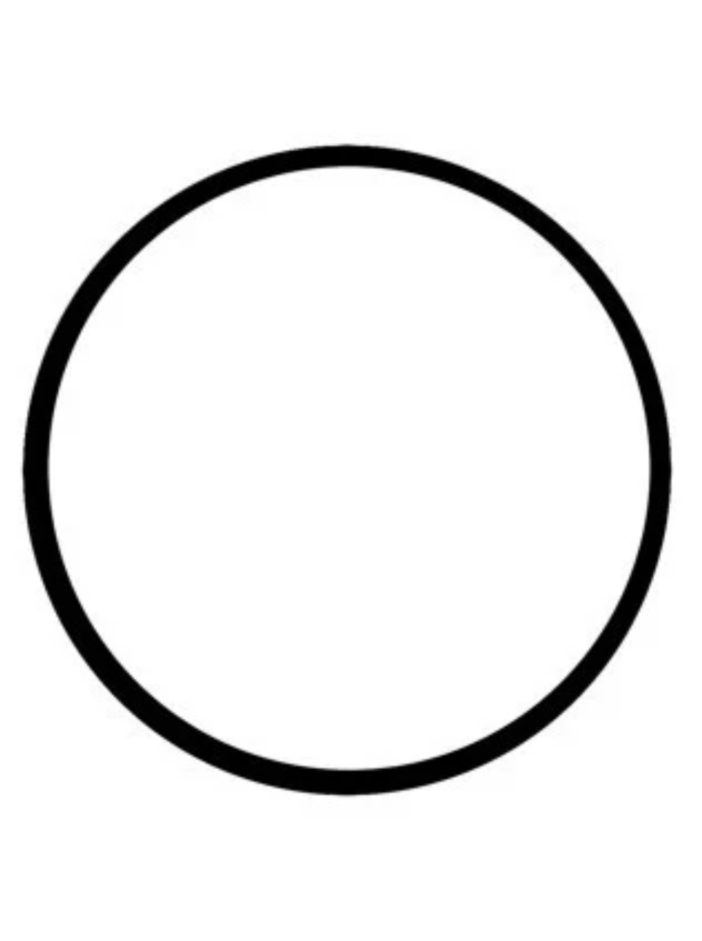 REPLACEMENT O-RING FOR RAW WATER STRAINER