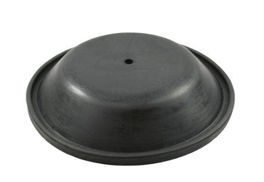 SP81  - REPLACEMENT DIAPHRAGM FOR RWB2202 PUMP